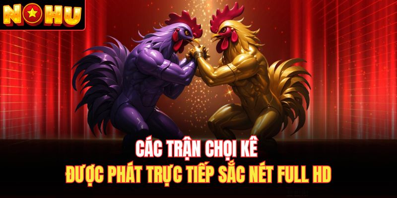 Các trận chọi kê được phát trực tiếp sắc nét full HD
