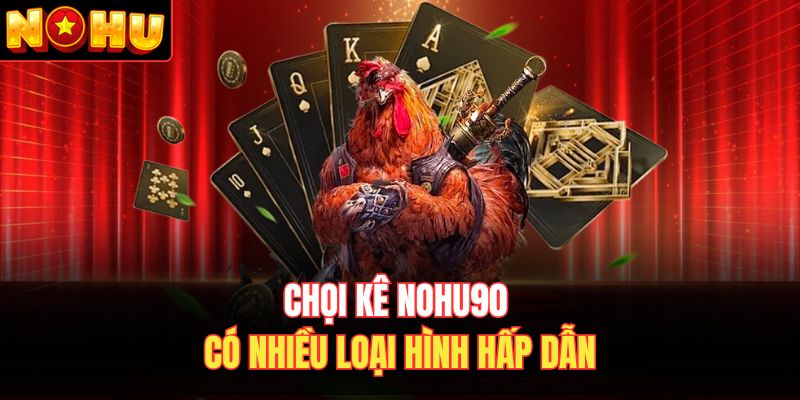 Chọi kê Nohu90 có nhiều loại hình hấp dẫn