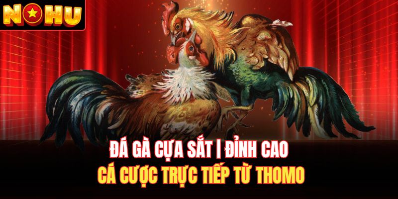 Đá gà cựa sắt