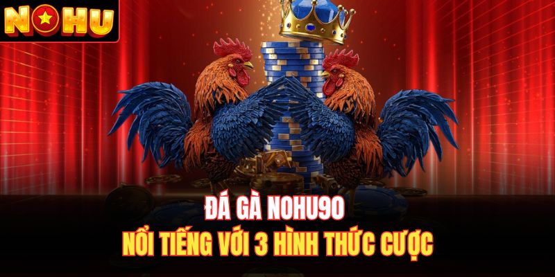 Đá gà Nohu90 nổi tiếng với 3 hình thức cược