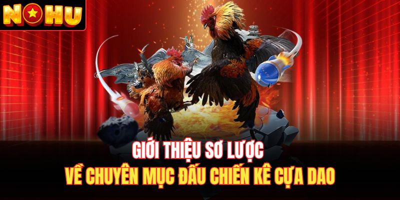 Giới thiệu sơ lược về chuyên mục đấu chiến kê cựa dao