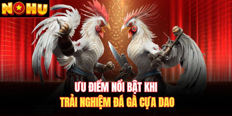 Ưu điểm nổi bật khi trải nghiệm đá gà cựa dao